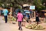 Fresh Coconuts