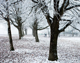 Freezing Fog