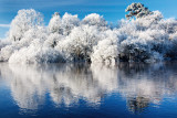 White Christmas 1