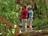 Birding on the Limpkin trail2