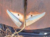 Peek-a-boo