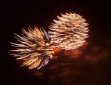 Fireworks 1063
