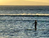 Maui 12627
