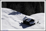 SWITZERLAND  - BERNESE OBERLAND - GRINDELWALD