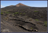 SPAIN - ISLAND OF LANZAROTE - LA GERIA