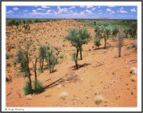 AUSTRALIA - ULURU