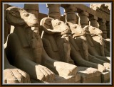 EGYPT - LUXOR - KARNAK TEMPLE- RAM HEADED SPHINXES