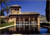  SPAIN GRANADA - ALHAMBRA - JARDINS DE PARTAL - PALACE OF THE MAIDS