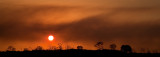 Bushfire Sunset