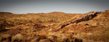 China Wall at Halls Creek