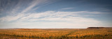 Kimberley Plains Panorama
