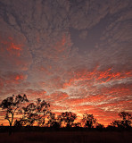 Outback Kimberley Sunrise - vertical