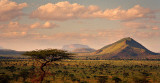 Kenya savannah landscape