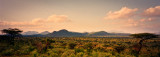 Savannah in the afternoon Panorama