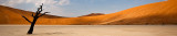 Pbase - namibia header.jpg