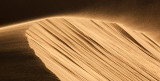 Sand blowing on dune crest