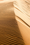 Dune Crest