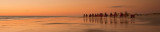 broome header.jpg