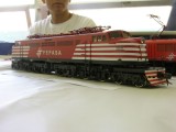 Models by Edson Yamazaki