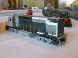 Model by Donnell Wells