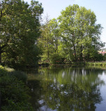 Spring, and sitting on a quiet pond