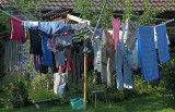 Washing-day in clean air ...