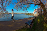 Runner and Cherry Blossoms
