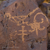 Bird & Lizard Petroglyphs