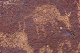 Antelope Petroglyph