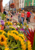 Grafton Street Flowers