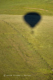 Balloon Shadow on Pasture