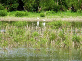 DSC00137.JPG(152)
