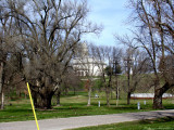 Secluded Mormon  Temple.jpg(236)