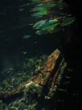 Rio da Prata