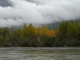 Fall Colors and Fog
