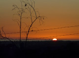 Sunset and Barbed Wire