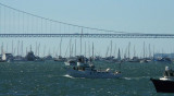 A Crowd of Masts Under the Golden Gate