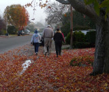 A Walk in the Leaves