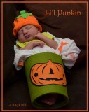 Lil Punkin