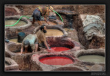 Working in the Tanneries of Fez
