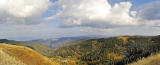 Black Forest Panorama