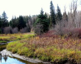 WHITEMUD CREEK IN OCTOBER.JPG