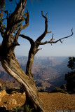 South Rim at Sunrise