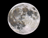 Full Moon Fun