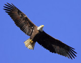 Flying Close