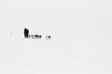 coast-mushing.jpg