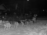 night-iditarod-03.jpg