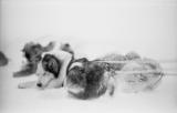 caperodney-04.jpg