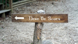 Here Be Scots