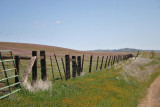 Panoche - McCullough Bros. Ranch